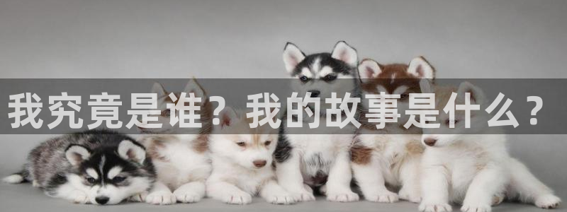 51漫画网站进入nba