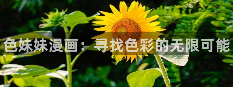 51漫画独家漫画